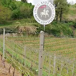 La Giribaldina Winery &