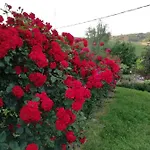 La Giribaldina Winery & Каламандрана