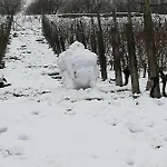 La Giribaldina Winery & Фермерский дом Каламандрана