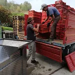 La Giribaldina Winery & Каламандрана