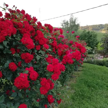La Giribaldina Winery & Каламандрана