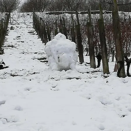 La Giribaldina Winery & Agroturismo Calamandrana