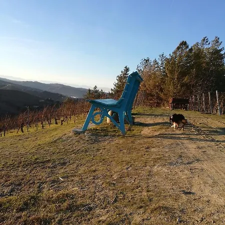 La Giribaldina Winery & Feriegård