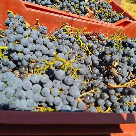 Bauernhof La Giribaldina Winery & Calamandrana