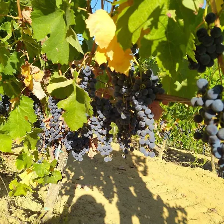 La Giribaldina Winery & Agroturismo *