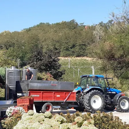Agroturismo La Giribaldina Winery & Calamandrana