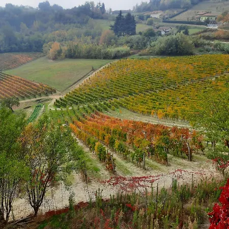 La Giribaldina Winery &