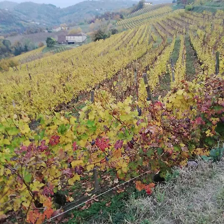팜스테이 La Giribaldina Winery & 칼라만드라나