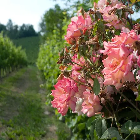 Фермерский дом La Giribaldina Winery & *