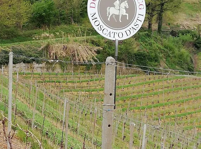 La Giribaldina Winery &
