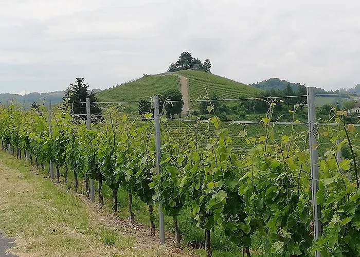 팜스테이 La Giribaldina Winery & *