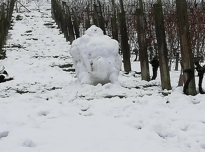 La Giribaldina Winery & 팜스테이 칼라만드라나