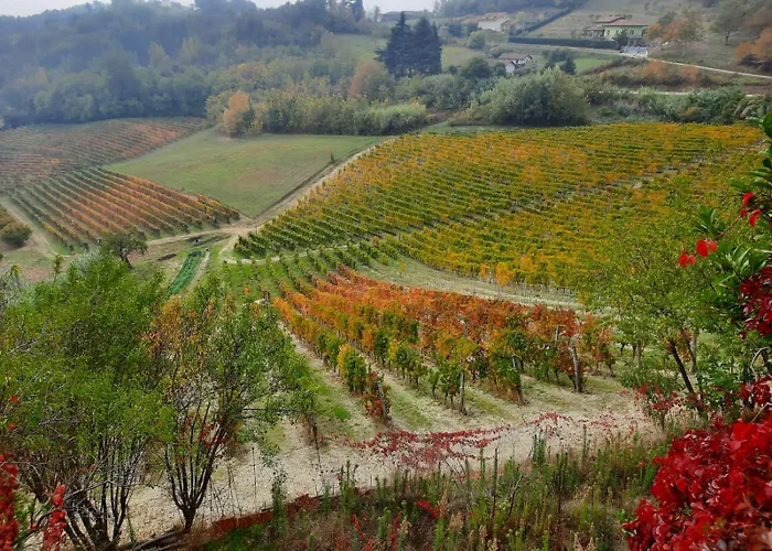 La Giribaldina Winery &