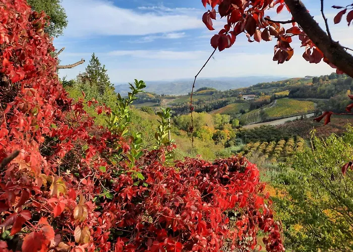 La Giribaldina Winery & 팜스테이 *