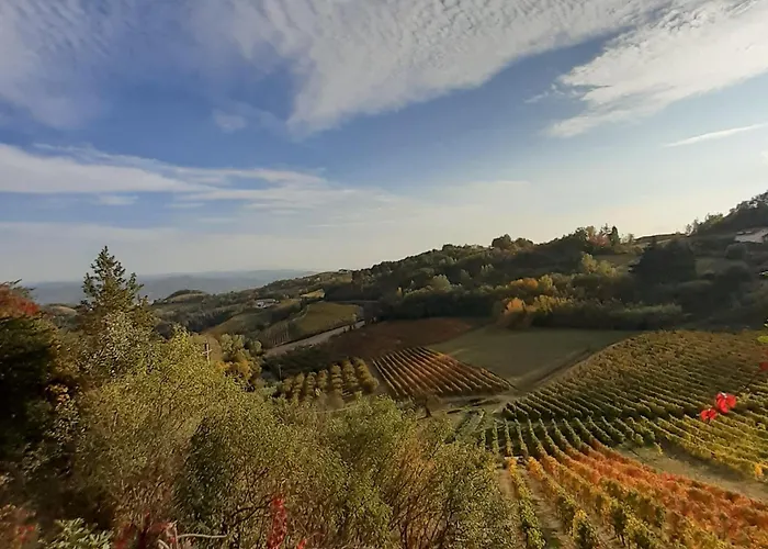 La Giribaldina Winery & * 칼라만드라나
