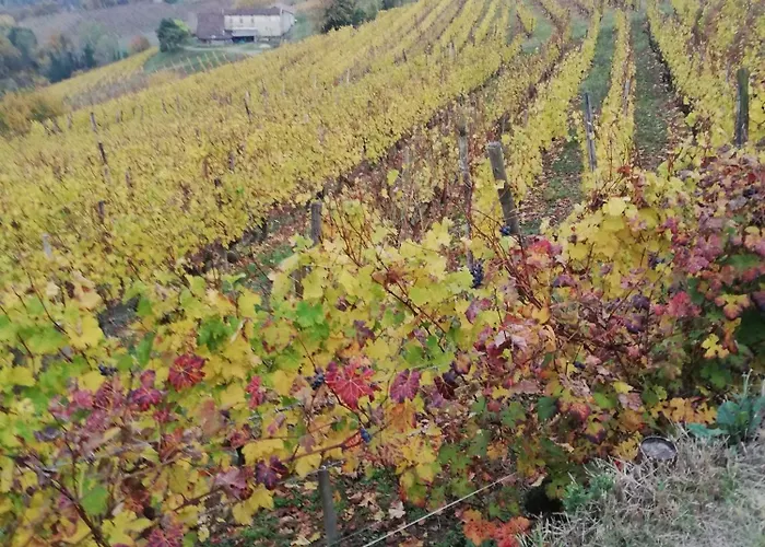 팜스테이 La Giribaldina Winery & 칼라만드라나